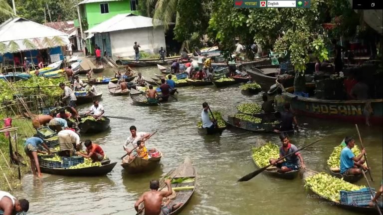 পদ্মা সেতুর কল্যাণে সকালের তাজা পেয়ারা দুপুরে ঢাকায়