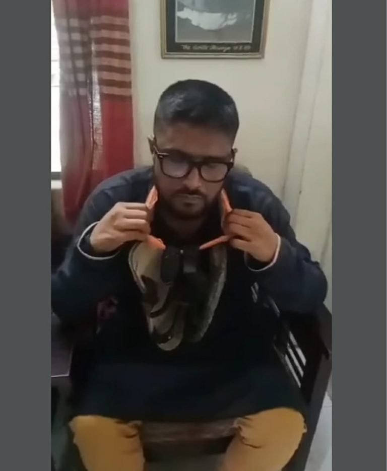 ভিডিও ভাইরাল: সাদিক আব্দুল্লাহর ছবি নামানোয় আ.লীগ নেতার গলায় জুতার মালা