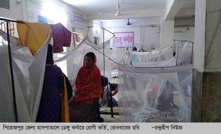 পিরাজপুরের হাসপাতালগুলোতে প্রতিদিনই বাড়ছে ডেঙ্গু রোগী: ভর্তি আছে ৬০ জন