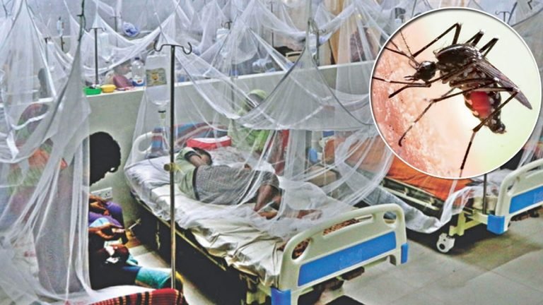 ডেঙ্গুতে ২৪ ঘণ্টায় আরো ১০ জনের মৃত্যু, হাসপাতালে ২ হাজার ৭৬৪ জন