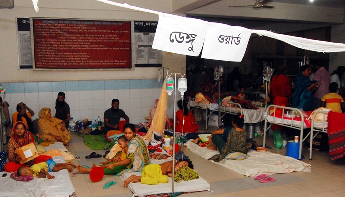 ডেঙ্গু কেড়ে নিল আরও ১০ প্রাণ, নতুন ভর্তি ১৯৮৪