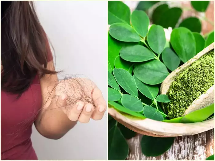 চুল উঠে যাচ্ছে? ৫ ঘরোয়া টোটকায় ভরসা রাখলে চুল গজাবে দ্রুত