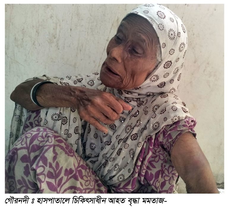 সাহায্য চাওয়ায় বৃদ্ধাকে পিটিয়ে আহত
