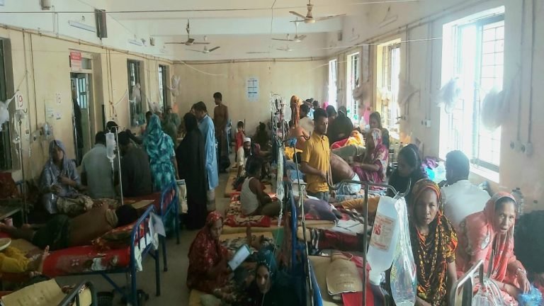 পটুয়াখালীতে   নিয়ন্ত্রণে আসছে না ডেঙ্গু, রোগীর সংখ্যা ও মৃত্যু বাড়ছে