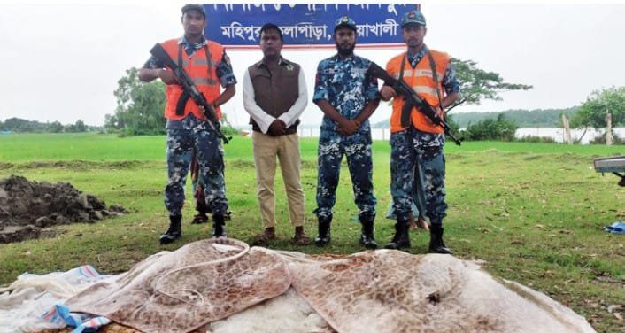 ১২ লাখ টাকার নিষিদ্ধ শাপলা পাতা মাছ জব্দ