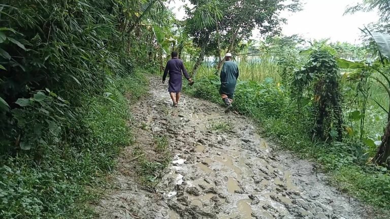 মির্জাগঞ্জে চার কিলোমিটার রাস্তায় ১৫ হাজার মানুষের দুর্ভোগ