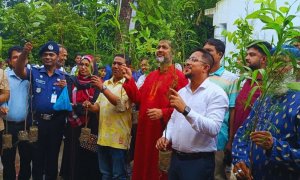 গলাচিপায়  শিক্ষার্থীদের মাঝে বিনামূল্যে গাছের চারা বিতরণ