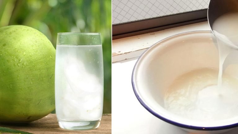 খাওয়ার স্যালাইনের বিকল্প কী খেতে পারেন