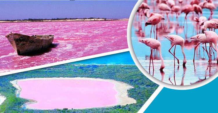 রহস্যময় গোলাপি হ্রদ