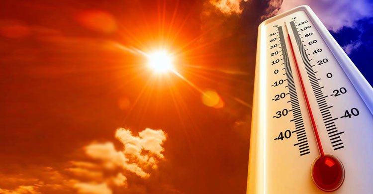 ইতিহাসের সবচেয়ে উষ্ণ গ্রীষ্ম পার করলো বিশ্ব