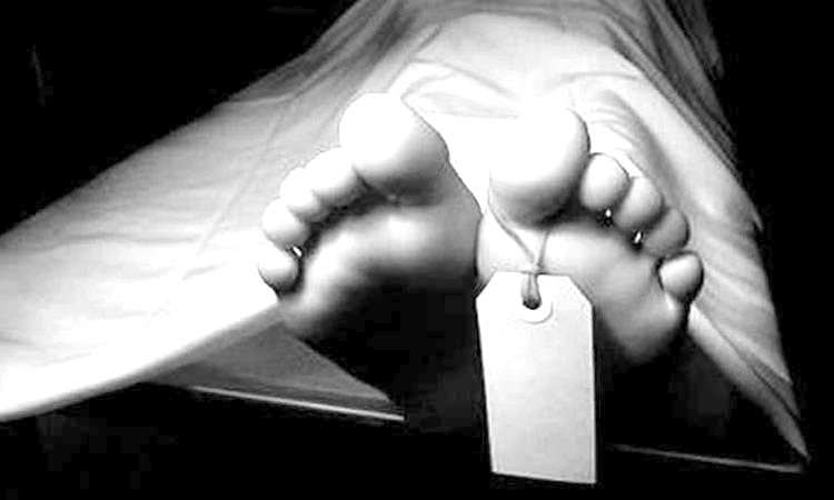 গাছ থেকে পড়ে দশমিনাতে কৃষকের মৃত্যু