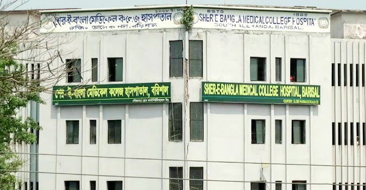 বরিশালে ডেঙ্গুতে মারা গেলেন আরও দুজন, নতুন শনাক্ত ১৭১