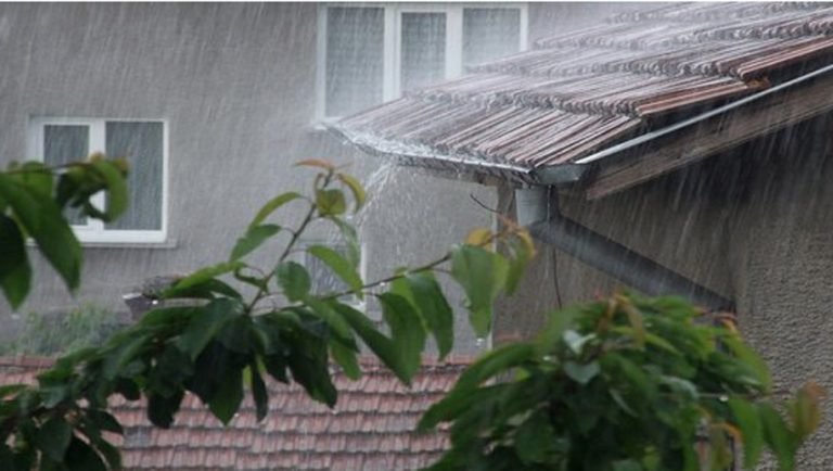 ঘরের স্যাতঁসেঁতে ভাব দূর করবেন যেভাবে