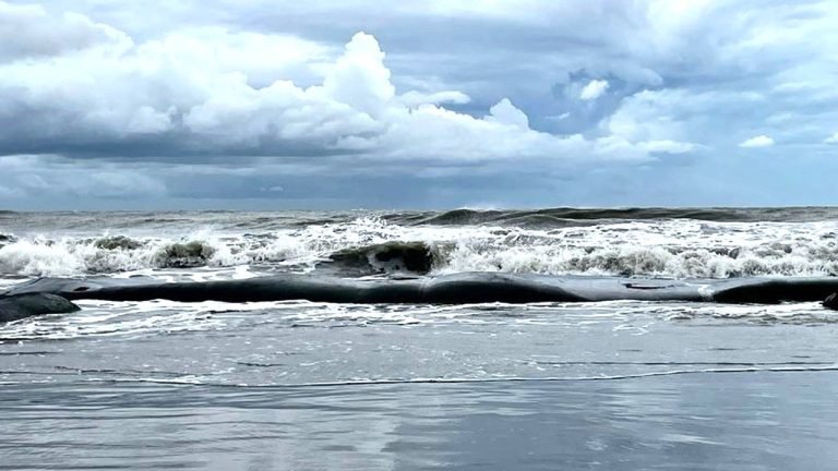 সমুদ্র বন্দর থেকে সংকেত নামল