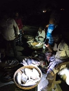 মুলাদীতে জেল-জরিমানায় থামছে না জেলেরা