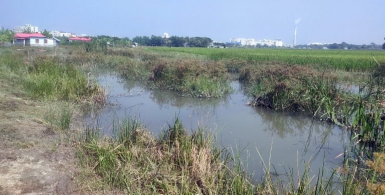 খাল খননে উপকৃত হবে দেড় হাজার একর জমি, বাচঁবে কৃষক