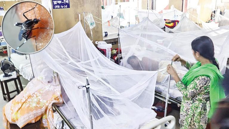 ডেঙ্গুতে আরও ৭ জনের মৃত্যু 