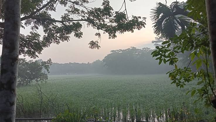 বরিশালে হেমন্তে শীতের আগমনী বার্তা
