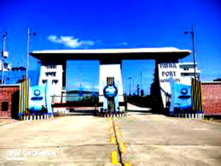 পায়রা বন্দরে দুই হাজার ৩০০ জাহাজের পণ্য খালাস: আয় প্রায় ১১’শ কোটি টাকা