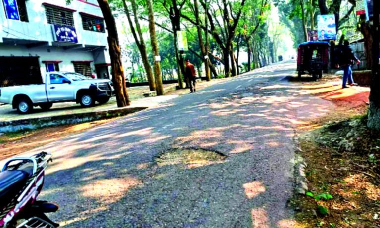 দুুমকীর সড়ক খানাখন্দে ভরা অহরহ ঘটছে দুর্ঘটনা