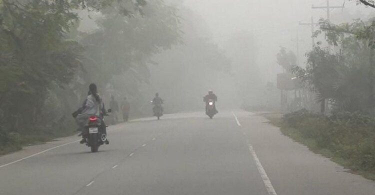 শিশু ও বয়স্কদের ঠান্ডা এড়িয়ে চলার পরামর্শ অগ্রহায়ণের কুয়াশাচ্ছন্ন দক্ষিণাঞ্চল