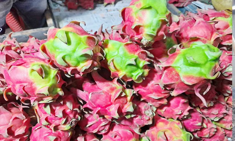 টনিক দেয়া ড্রাগনে সয়লাব বরিশালের ফলের বাজার