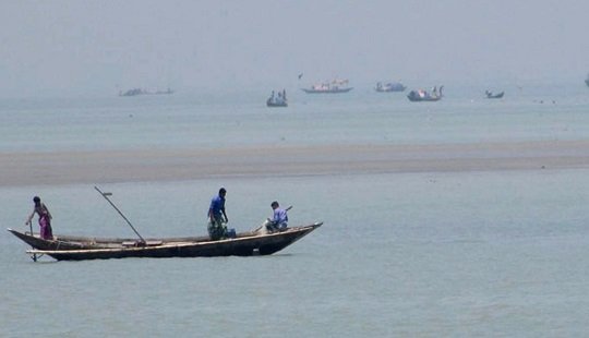 বরিশালে অবাধে শিকার হচ্ছে ইলিশের পোনা
