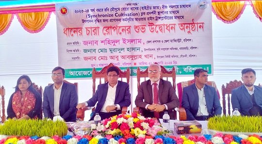 বরিশালে ধানের চারা রোপনের উদ্বোধণ