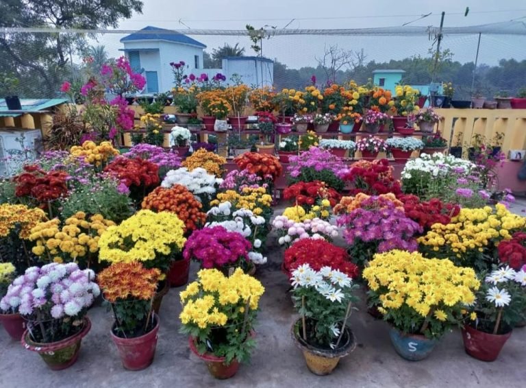 ফুলের স্বর্গ রাজ্য পিরোজপুরের স্বরূপকাঠি