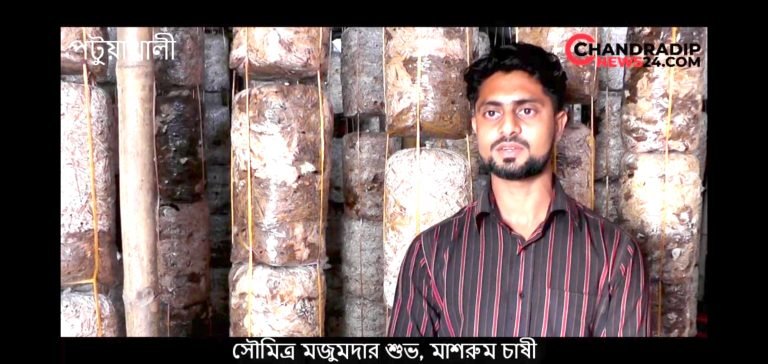 কলাপাড়ায় মাশরুম চাষে যুবকের ভাগ্য বদল