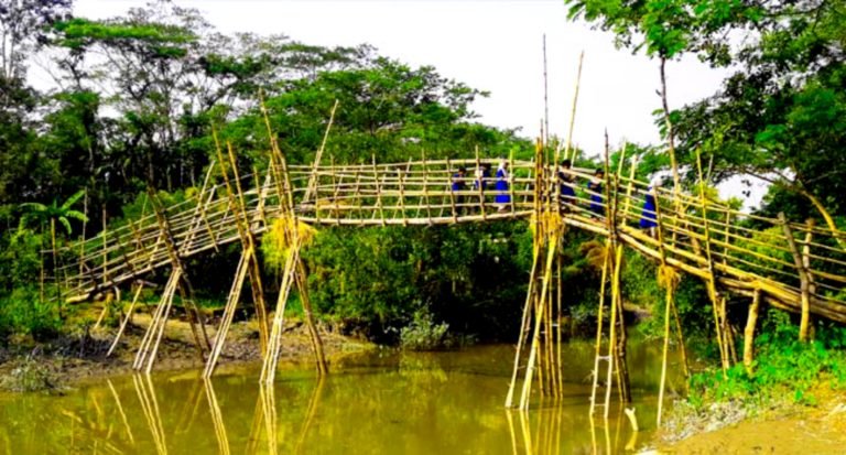 দুমকিতে সাঁকো দিয়ে ঝুঁকি নিয়ে শিক্ষার্থীদের পারাপার