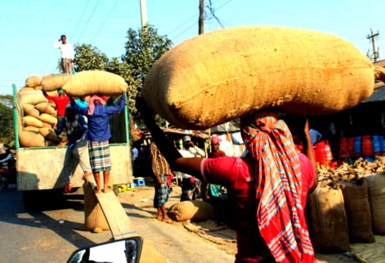পটুয়াখালীতে আমনের দামে কৃষকের হাসি