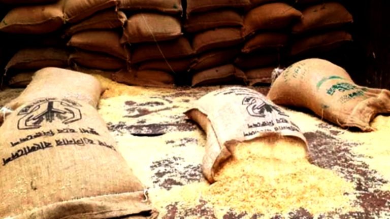 দশমিনায় গরীবের সরকারি চালে উকিল, ব্যবসায়ী, চালের ডিলারের ভাগ!