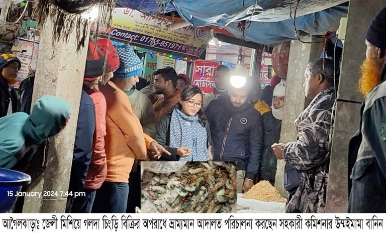 বরিশালের জেলী মিশিয়ে চিংড়ি বিক্রির অপরাধে ভ্রাম্যমান আদালতে ব্যবসায়িকে জরিমানা
