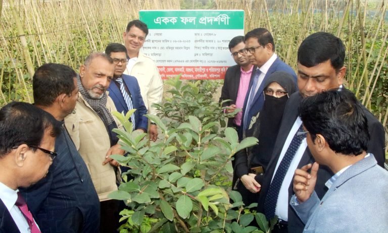 বরিশালের গৌরনদীতে একক ফল বাগান (পেয়ারা) প্রদর্শণী পরিদর্শন