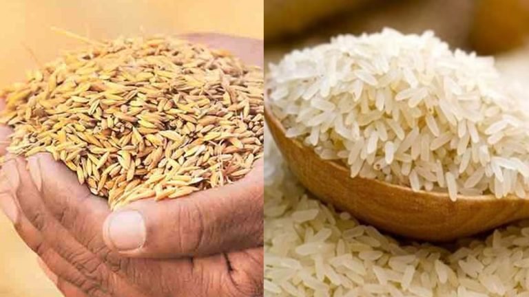 বরিশালে লক্ষ্যমাত্রার ২৫ ভাগ ধান-চালও সংগ্রহ হয়নি
