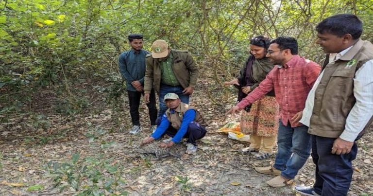 তালতলীতে মেছো বাঘের বাচ্চা উদ্ধারের পর অবমুক্ত