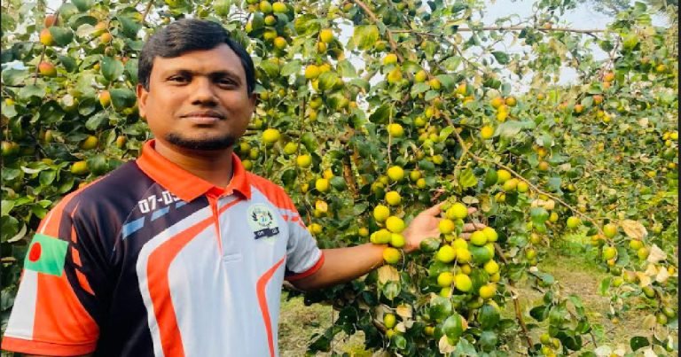 ইউটিউব দেখে বরই চাষ করে স্বাবলম্বী হয়েছেন বরগুনার রাসেল মিয়া