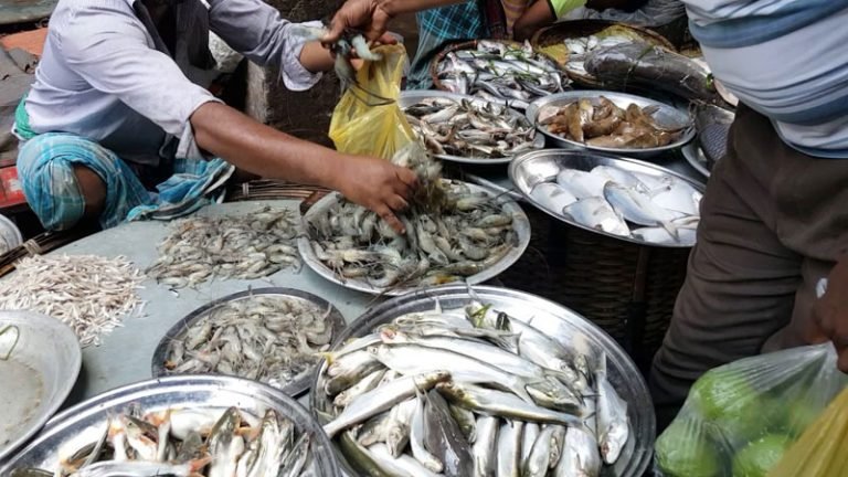 বরিশাল আড়তে সপ্তাহজুড়ে মাছ সরবরাহ কমেছে