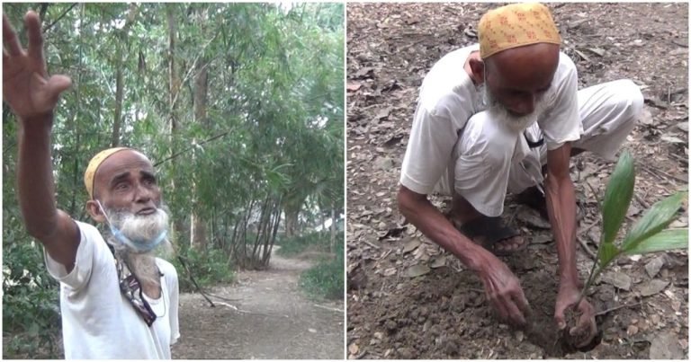 ৭০ বছরে লক্ষাধিক গাছ লাগানোর দাবি গলাচিপার সিরাজুলের