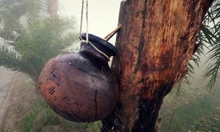 বরিশালে নিপাহ ভাইরাসে আক্রান্ত শিশুর মৃত্যু