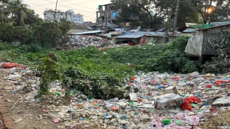 পটুয়াখালীর পিরতলা খালটি  বিলীনের পথে