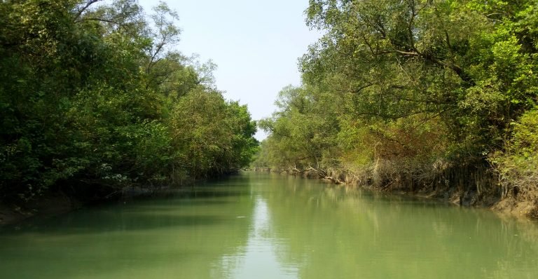 দৃষ্টিনন্দন কুকরি-মুকরি ডাকছে ভ্রমণপিপাসুদের