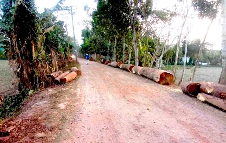 দুমকীতে সড়ক সংস্কারের নামে চরম ভোগান্তিতে মানুষ
