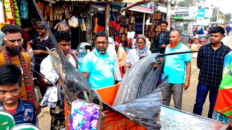 সাগরে জেলের জালে ধরা পড়ল ৪০ কেজির সেইল ফিশ
