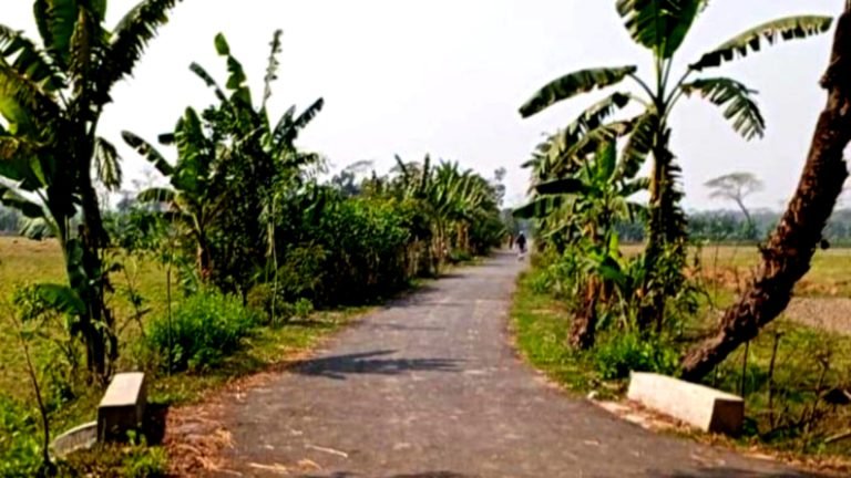 পাল্টেছে মির্জাগঞ্জের গ্রামীণ যোগাযোগ ব্যবস্থা