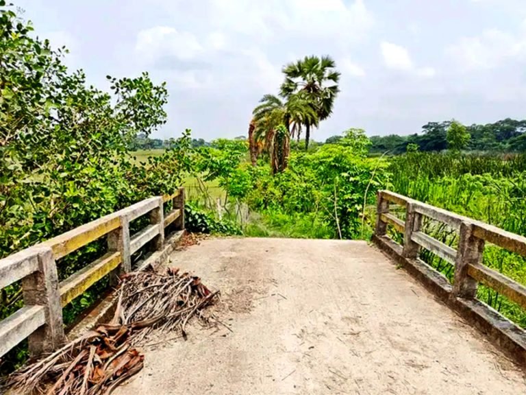 বাউফলে সেতু আছে, সড়ক নেই