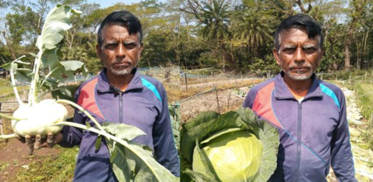 চাকরি ছেড়ে সবজি চাষে সফল বরিশালের লিটু