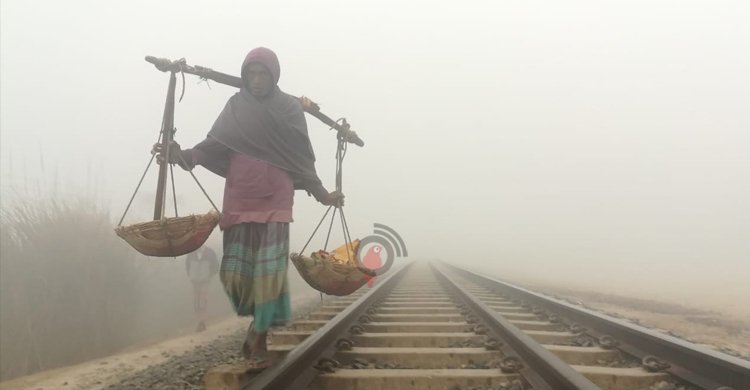 ফের জেকে বসছে শীত