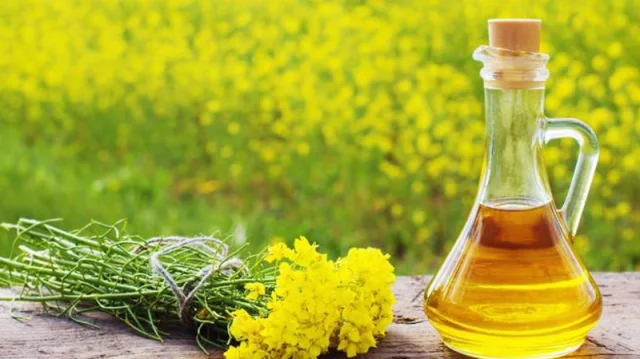 সরিষায় ক্ষতিকর কিছু নেই: ভোজ্য তেলের চাহিদার ৪০ ভাগ সরিষায় পূরণের টার্গেট